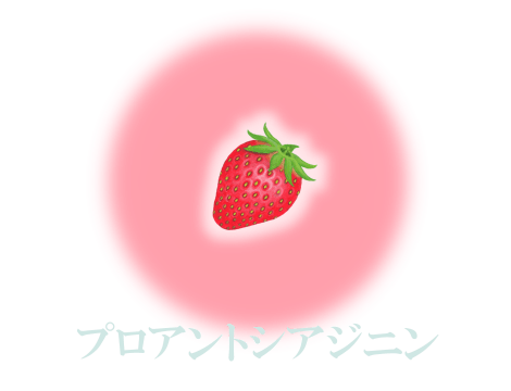 プロアントシアジニン(松樹皮抽出ポリフェノール成分)イメージイラスト